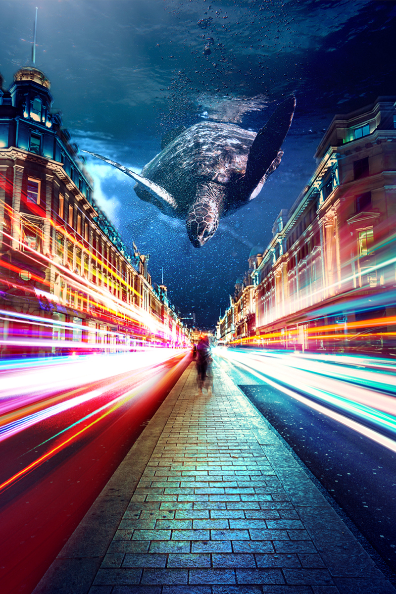 a surreal photo concept of a modern city and a big sea turtle