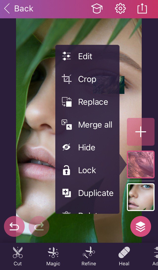 a tool bar of a layer’s edit options