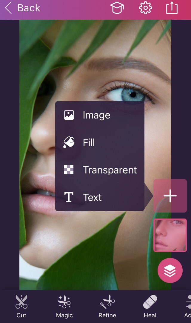 Pixomatic layer tool