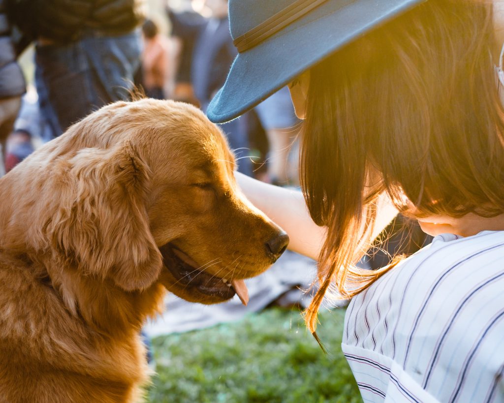 dog photography