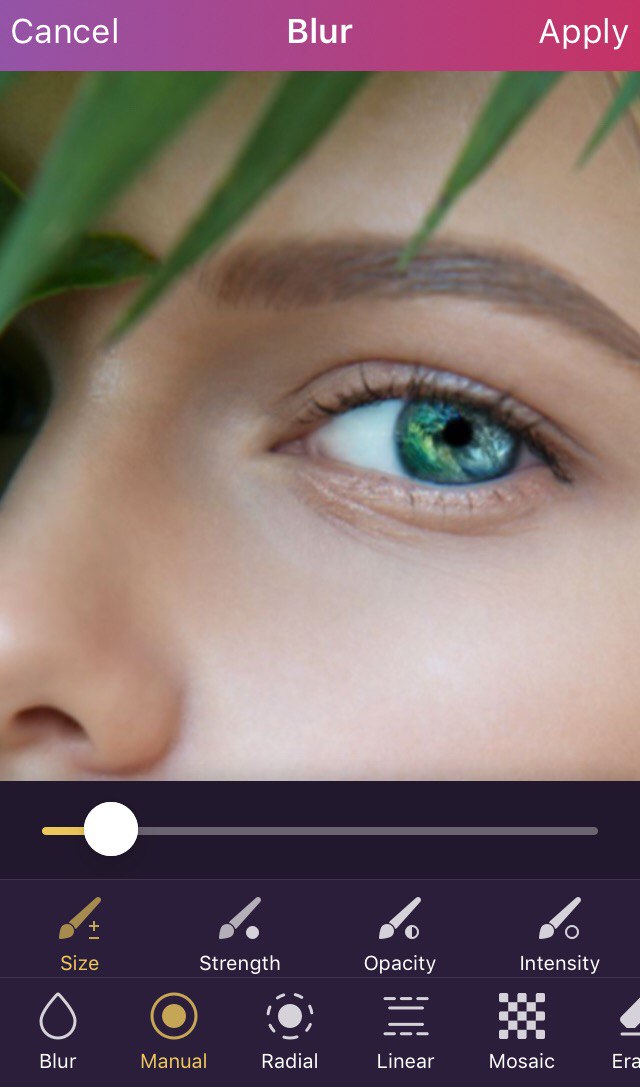 Pixomatic overlay tool