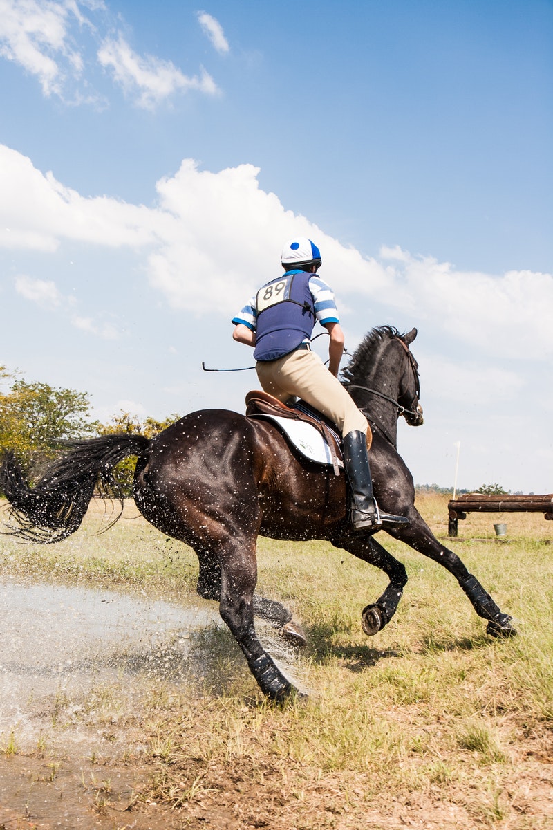 horse-riding competition