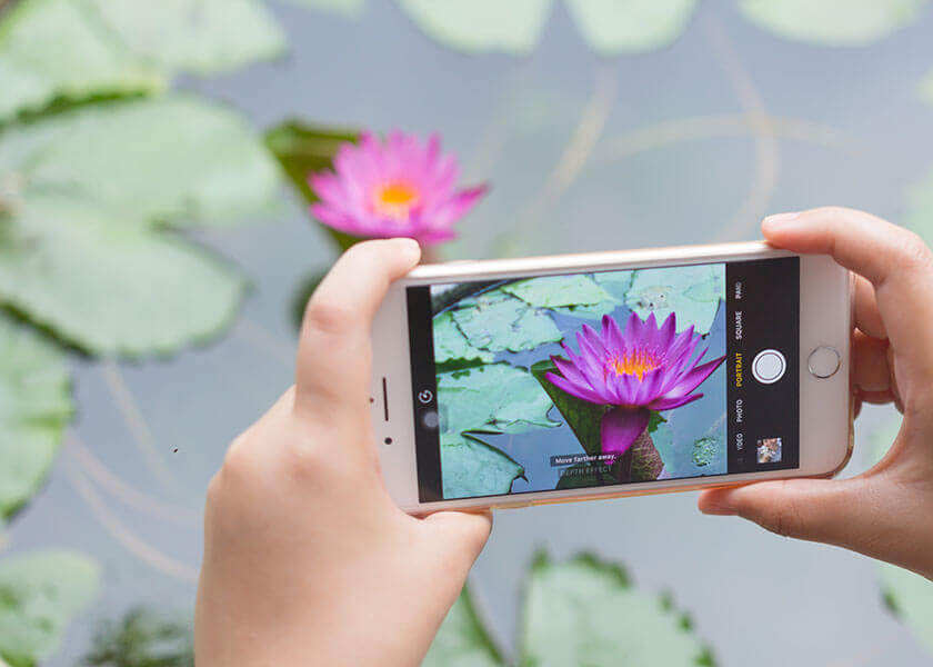 iPhone Focus