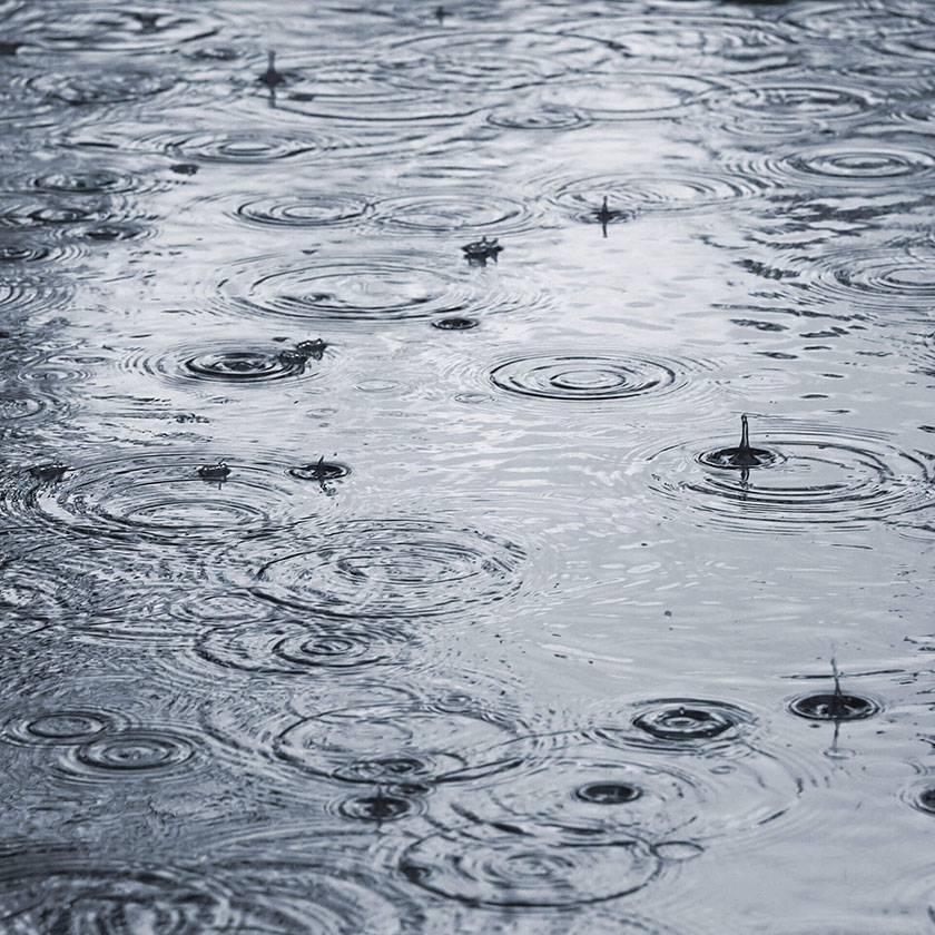 Raindrop