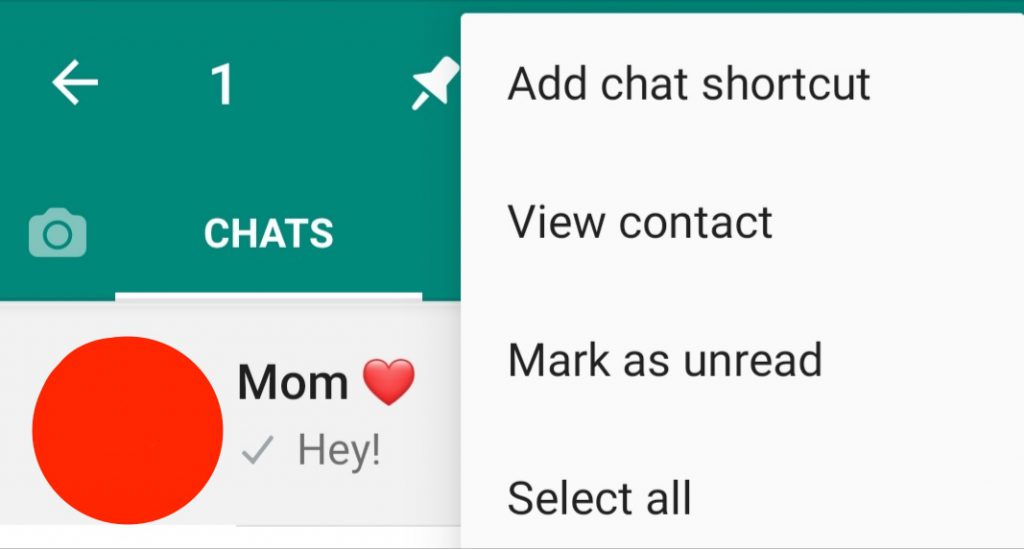 whatsapp