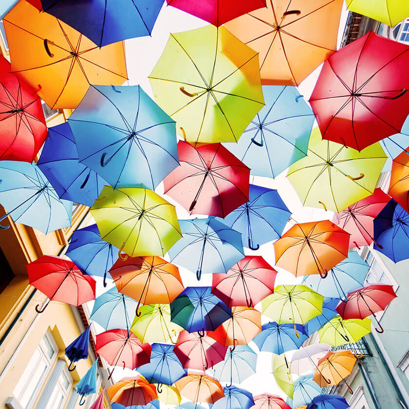 Umbrella